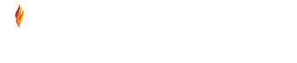 system logo