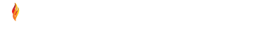 system logo